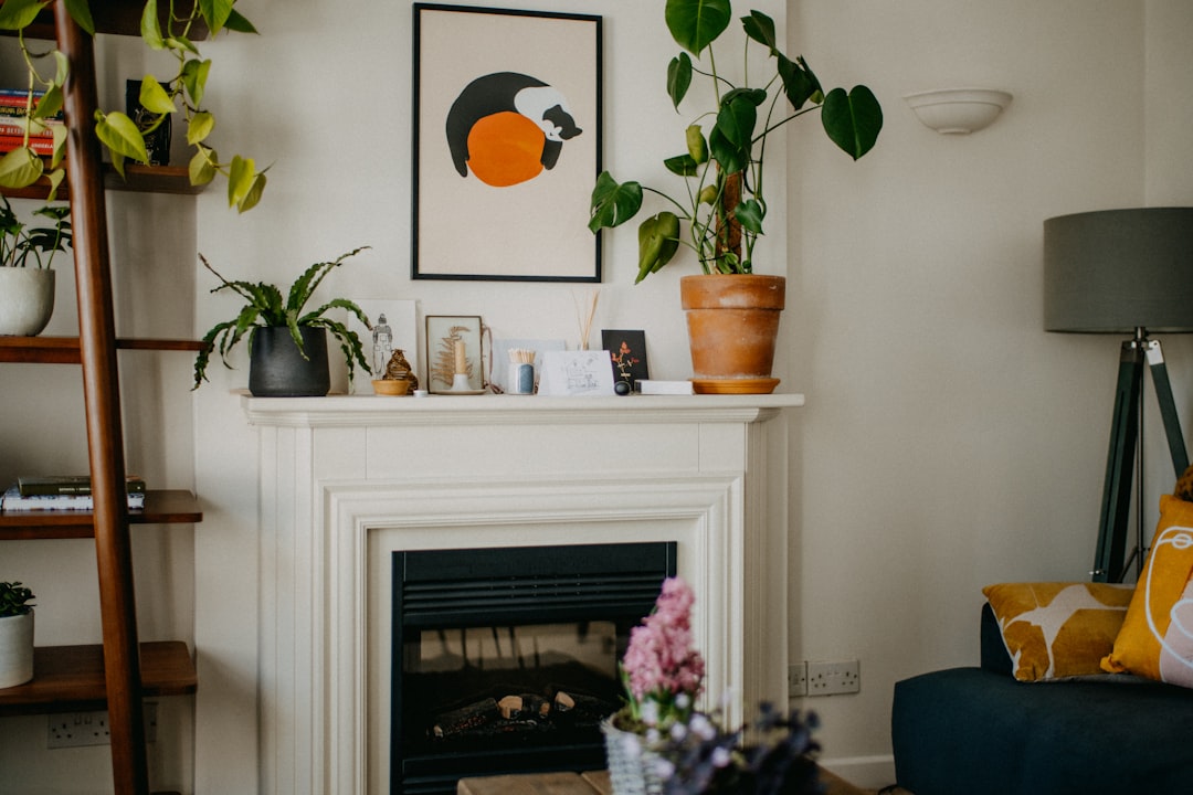 Bright, sunlit living room with minimalist modern furniture and a single green plant, representing a clean and intentional...